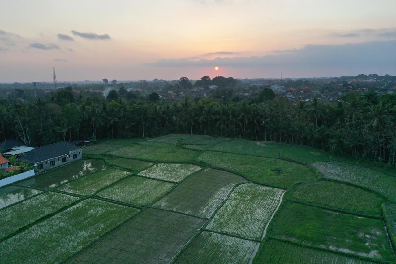 Sila Urip Guest House Ubud  Ngoại thất bức ảnh
